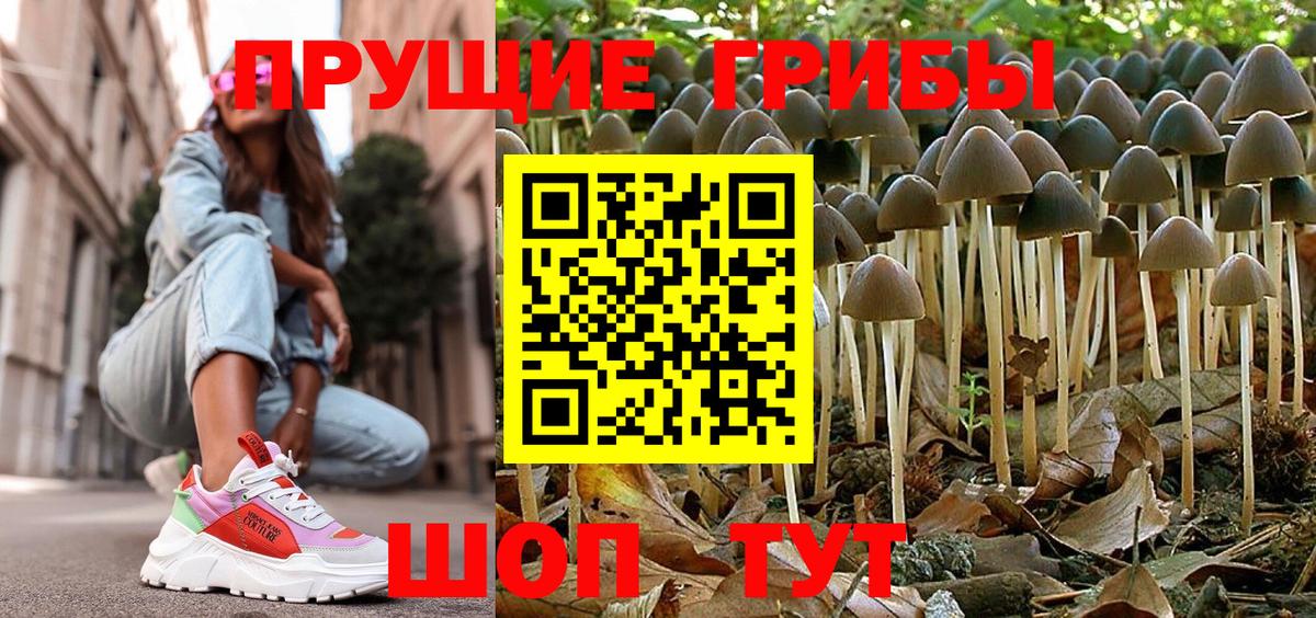 Кузнецк  Галлюциногенные грибы мицелий  Вход с VPN 